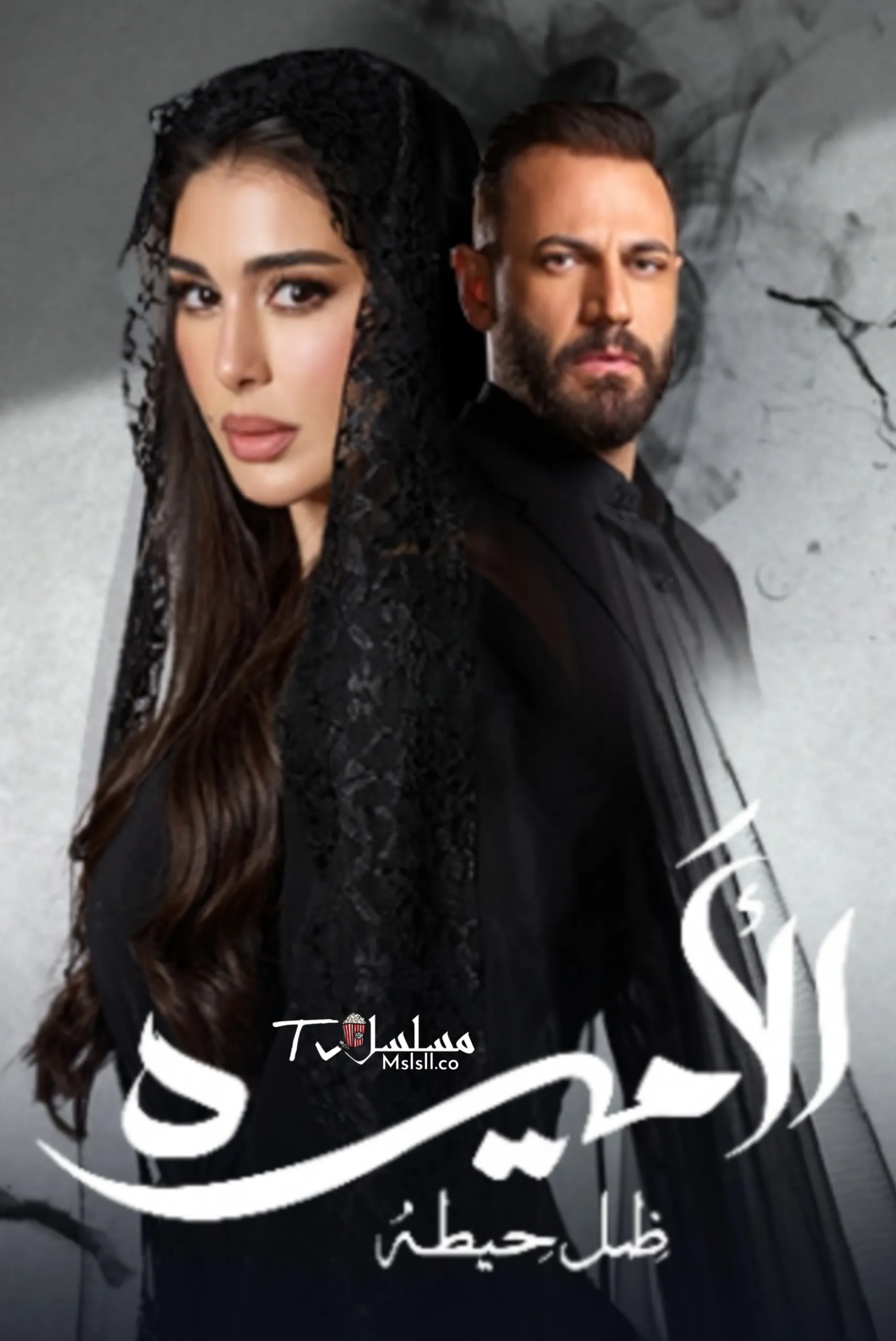 مسلسل الاميرة : ضل حيطة